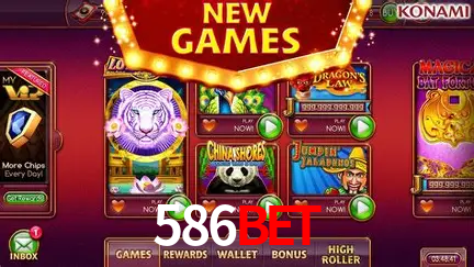 586bet - Winners Celebration